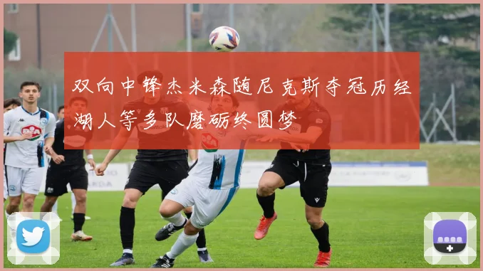 双向中锋杰米森随尼克斯夺冠历经湖人等多队磨砺终圆梦