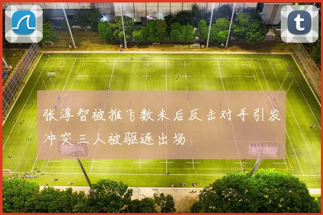 张淳智被推飞数米后反击对手引发冲突三人被驱逐出场