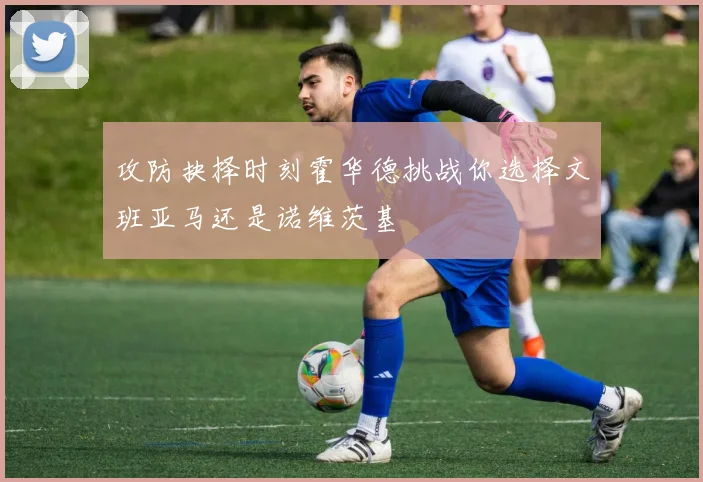 攻防抉择时刻霍华德挑战你选择文班亚马还是诺维茨基
